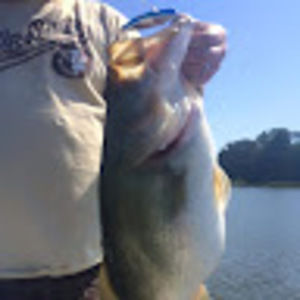 Meet your Posher, Joe